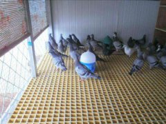 養(yǎng)殖場(chǎng)玻璃鋼格柵